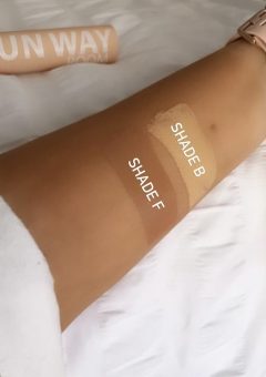 mineral stick foundation