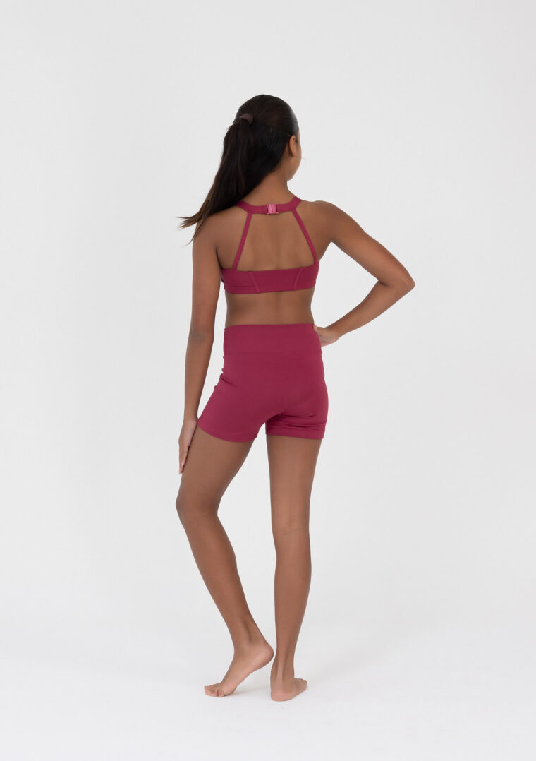 remi crop top crimson